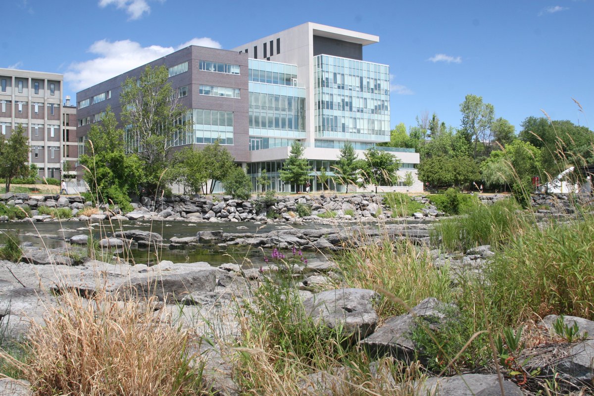 CarletonSPPA's tweet photo. SPPA's 2nd #MPPACapstone begins next week! Check out our video to learn more about the Master of Public Policy and Administration's Capstone course: https://t.co/lecjpq9bYX @FPACarleton @CUGradStudies @Carleton_U https://t.co/5fFjPI4FHo