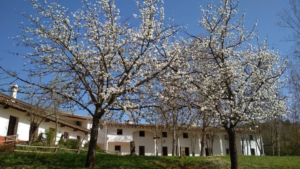 Josechu Ferreras Tomé tweet media