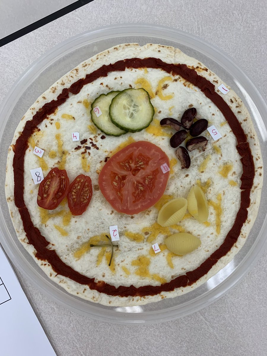 mrs_king6's tweet photo. So many awesome #ediblecell projects turned in today. The kids loved then &amp; we loved seeing their creative sides! @Deretchin https://t.co/AptZjNPDok