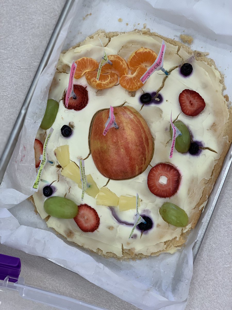 mrs_king6's tweet photo. So many awesome #ediblecell projects turned in today. The kids loved then &amp; we loved seeing their creative sides! @Deretchin https://t.co/LyqoHWhHtP