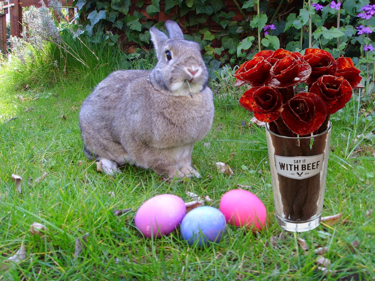 SayItWithBeef's tweet photo. Don't forget about our #Easter #sale - 10% off + #FREE Bropourri in Easter #eggs for all orders placed by tomorrow at noon! Just use the #coupon BUNNYBEEF at checkout. Get something #bold and #beefy, this year!

Don't forget to enter our April #giveaway: https://t.co/n0OdBDL46I https://t.co/ho3CqEJtzS
