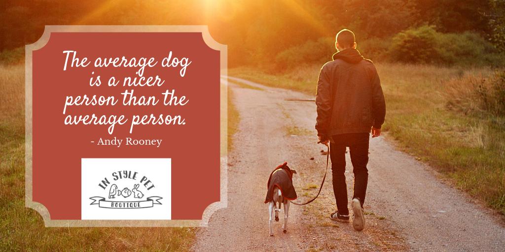 InStylePet's tweet image. &quot;The average dog is a nicer person than the average person.&quot; ~Andy Rooney
Yep, we agree! We love a good dog quote - drop us your favorite in the comments.👇 #ThursdayThoughts #DogsRule