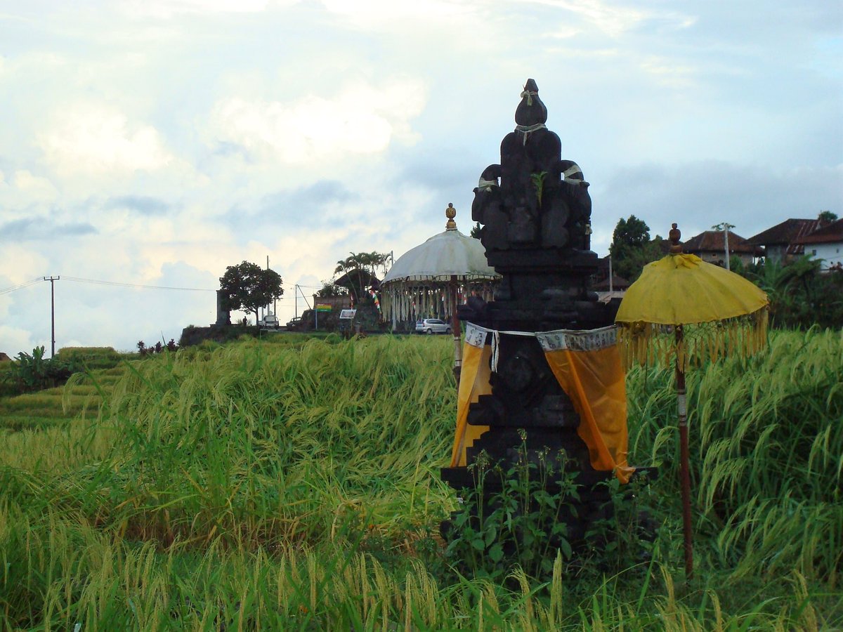 When the Green Revolution imposed western scientific farming ideas on Bali the view was that the temple management known as Subak was superstitious inefficient and in the way of progress. Their authority to manage was interrupted (Img from Wikipedia: Subak entry)