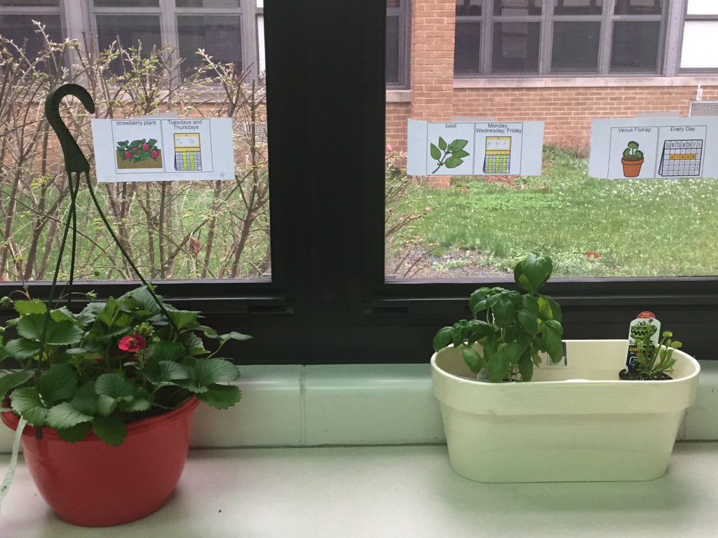Santoro_SpEd's tweet photo. What’s “growing on” at LPHS? -here’s a peek. 😊 #WeAreLakePark #spring #papercraft #gardening https://t.co/4bmEGZLAlq