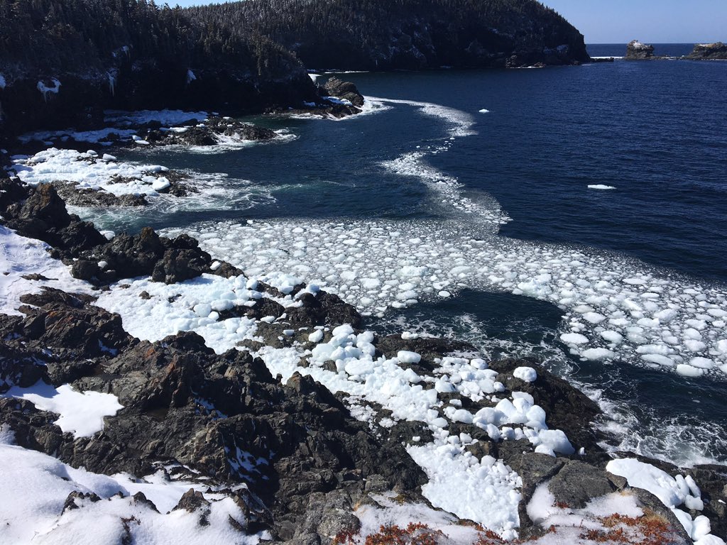 LeggeSandy's tweet photo. Like a lace collar around the shoreline #bergybits #notspring https://t.co/94tc5oUokE