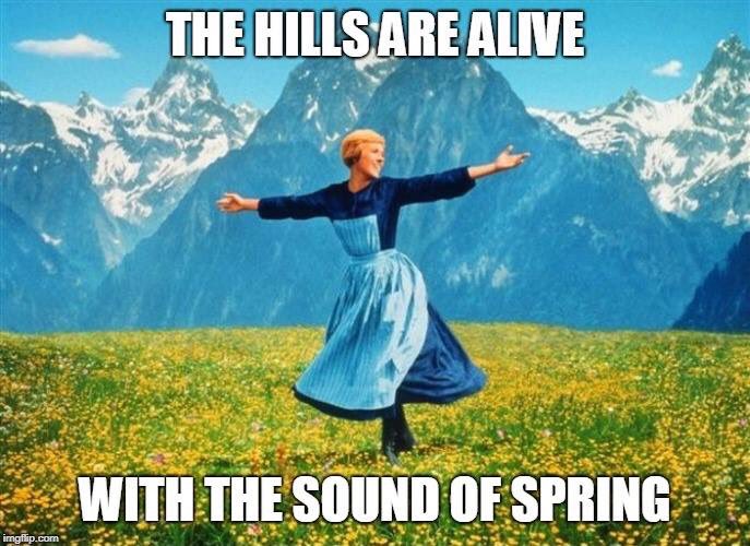 ArgusAudiology's tweet image. The song “April Showers” was written by B. G. De Sylva and Louis Silvers, and was first published in 1921.  We will keep listening for the blue birds song as April showers come along!  #soundsofspring 🐦☔