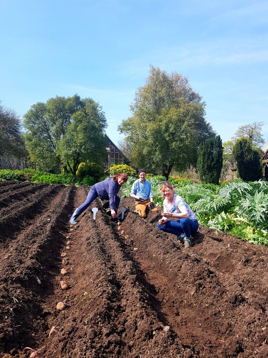 vegieguy's tweet photo. Super busy day planting out #glincastle https://t.co/Tp5FgWofEu