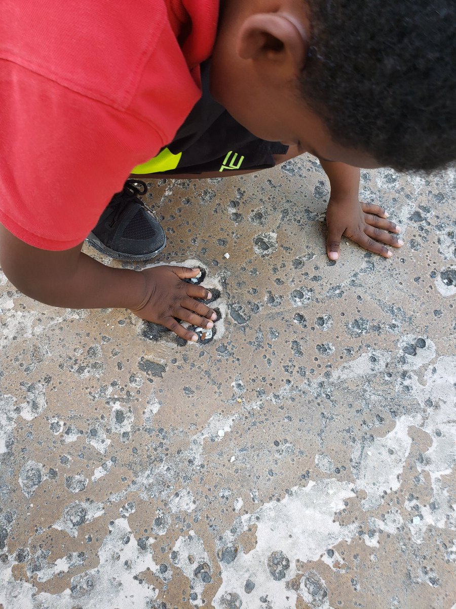 jpjoyous's tweet photo. Checking out and comparing our hands to the paw prints we found at the zoo. @MDE_Stars https://t.co/kgTOjvpryi