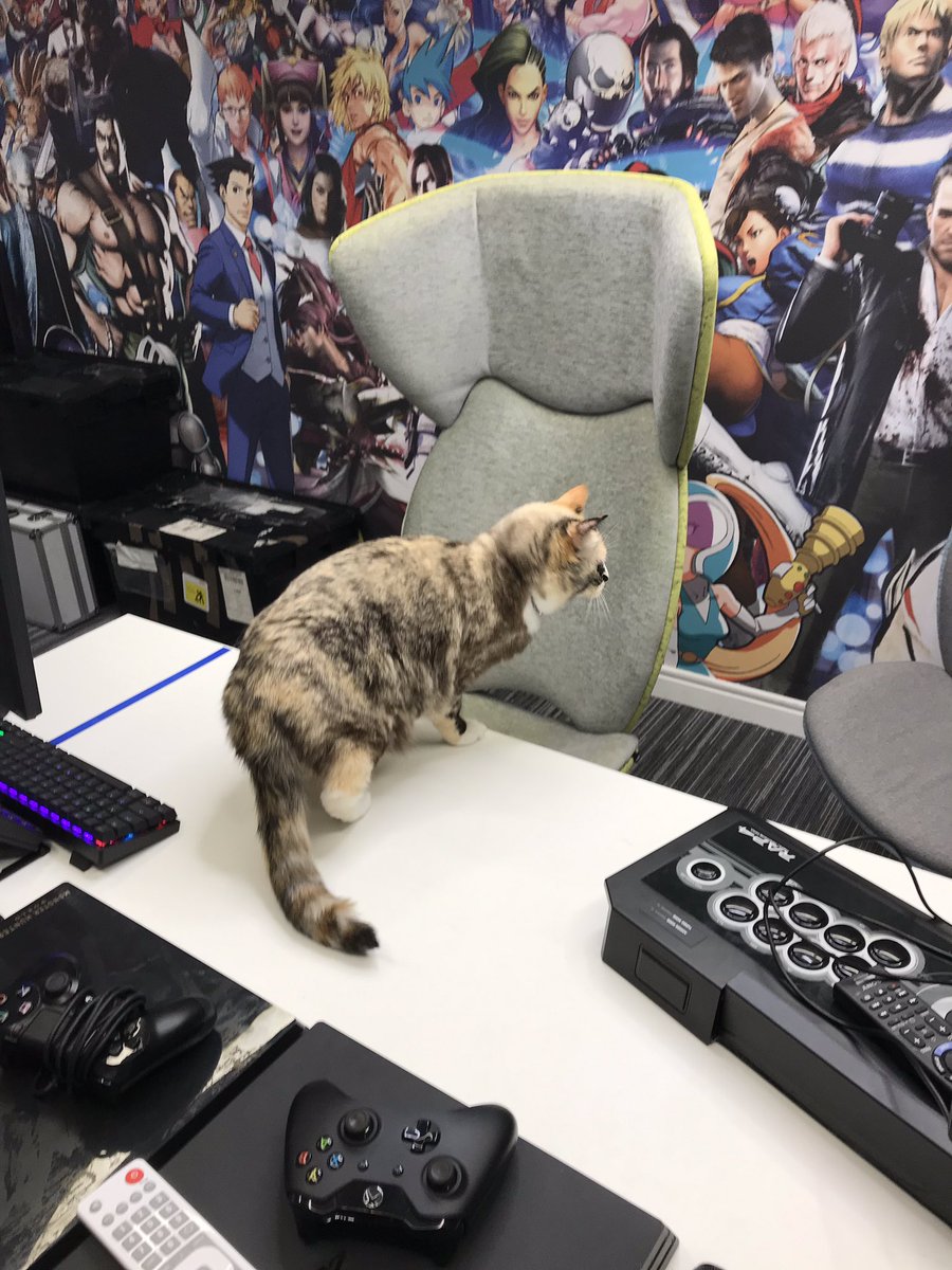 TheStreetWriter's tweet photo. Good thing it was only a short visit as it looks like Luna didnโt particularly enjoy her visit to the @Capcom_UK offices ๐น๐น๐น๐น https://t.co/iIXMDaioal