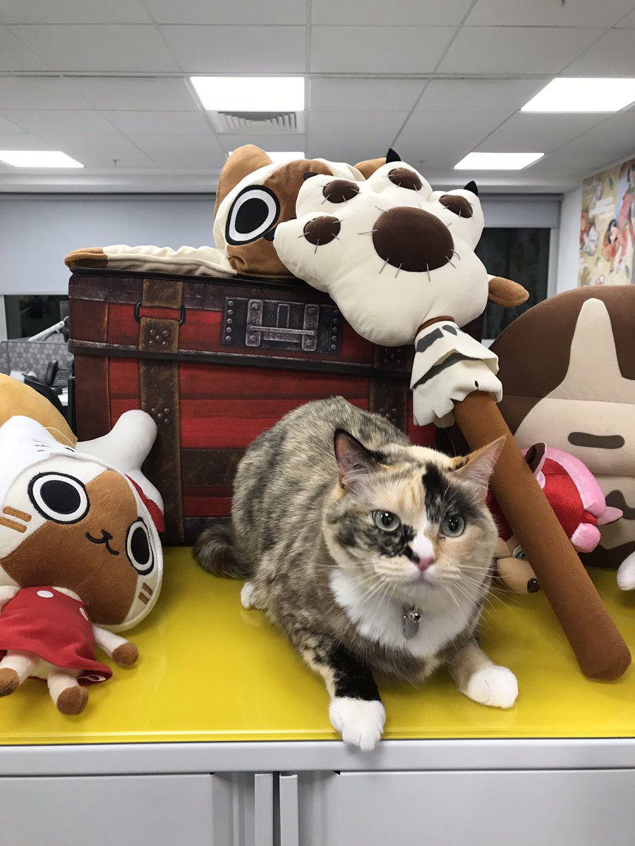 TheStreetWriter's tweet photo. Good thing it was only a short visit as it looks like Luna didnโt particularly enjoy her visit to the @Capcom_UK offices ๐น๐น๐น๐น https://t.co/iIXMDaioal