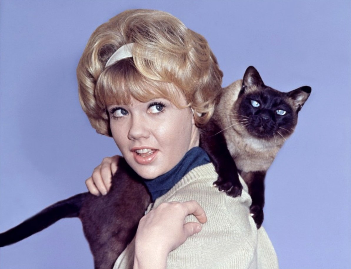 Happy Birthday to Hayley Mills, star of \"That Darn Cat!\ 