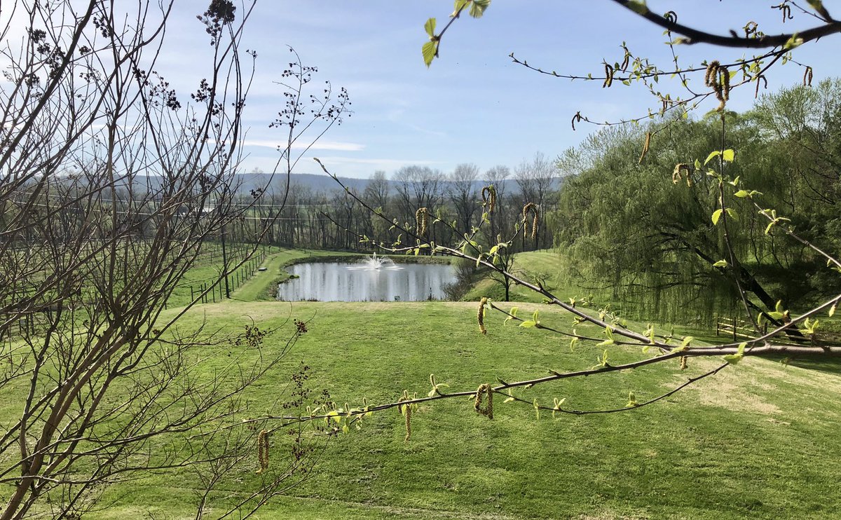 Beautiful afternoon at <a href="/sunsethillwine/">SunsetHillsVineyard</a>! Looking forward to more great wine and weather in the months to come! #loudounlibations #springtimewine #sunsethillswinery