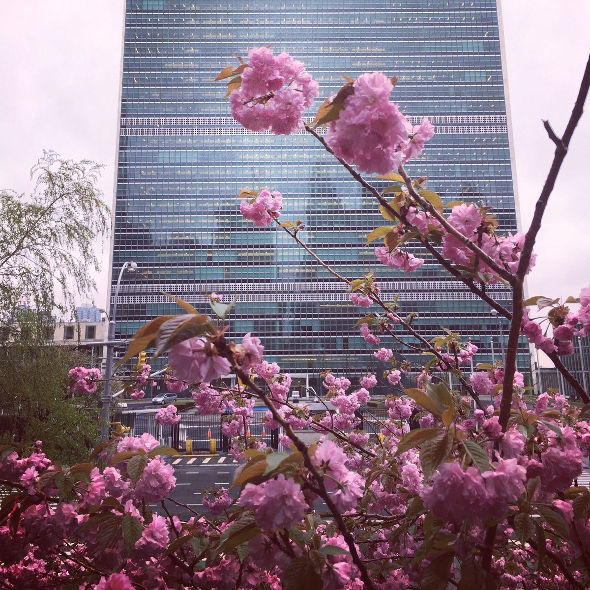 UN's tweet photo. Happy #EarthDay from UNHQ in NYC!

Join people around the world by taking action to protect our one and only planet. Here's how: https://t.co/fXksYA7O1x https://t.co/hixaaBDad5