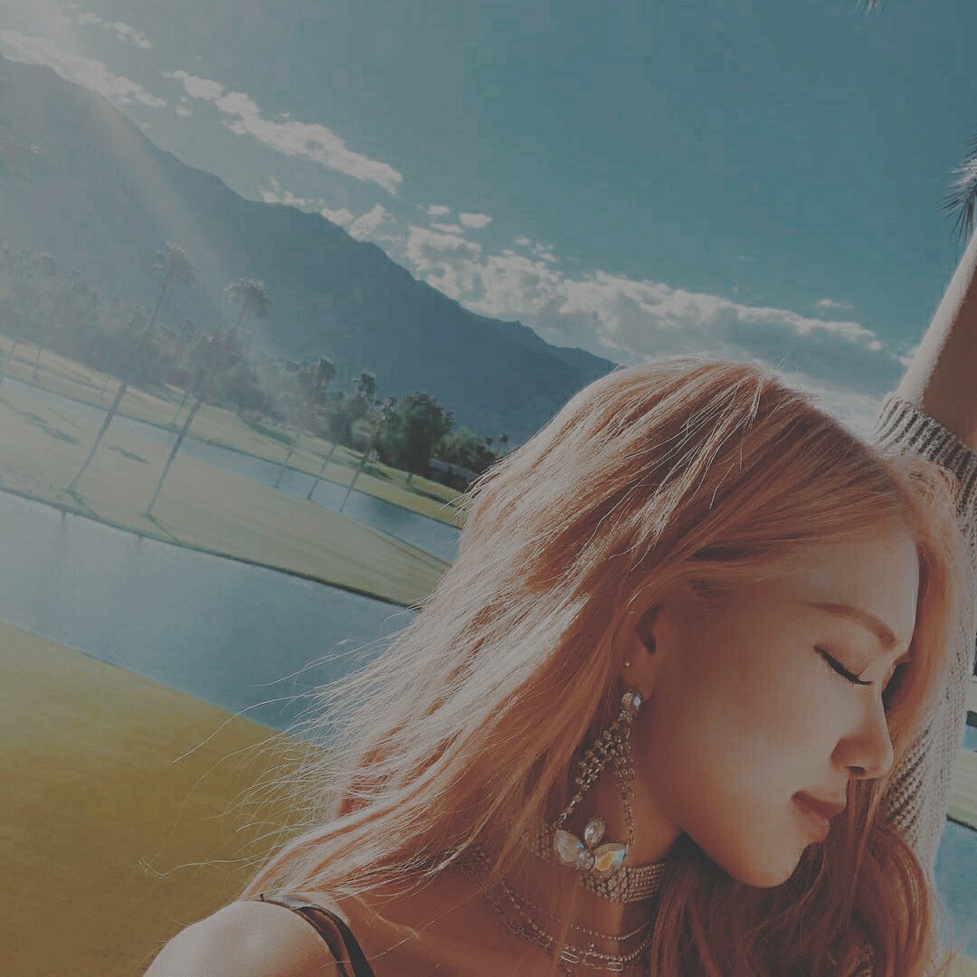 byaesthetic_'s tweet photo. ❥ Rose Blackpink aesthetic packs.
─ 🍒〔RT or FAV if you save / use〕
#rose #parkchaeyoung #roseaesthetic #chaeyoungaesthetic #rosepack #chaeyoungpack #blackpink #aesthetic #aestheticpack https://t.co/H9onVQjdLw