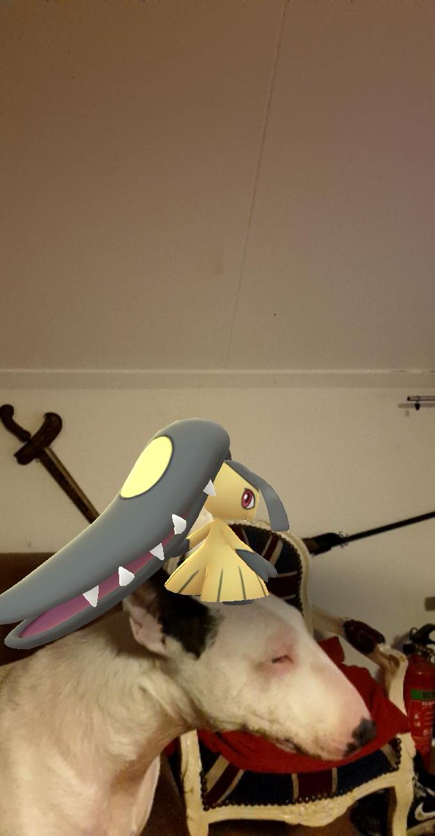 DexterVaag's tweet photo. #Gosnapshot https://t.co/uSJlZkxj3x