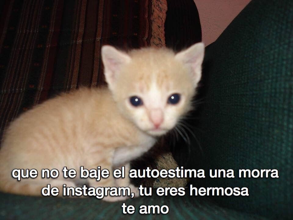 Vahooos (@vahooos) on Twitter photo 