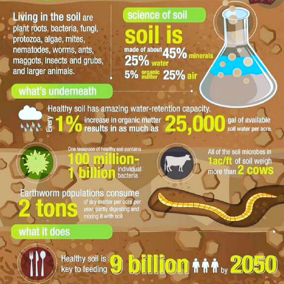 CleanmountainsO's tweet photo. Know your Soil!!! 

#soil #agriculture #plants #conservation

Image Source : https://t.co/bKiCnEBQhc https://t.co/QAPOKIfGLv