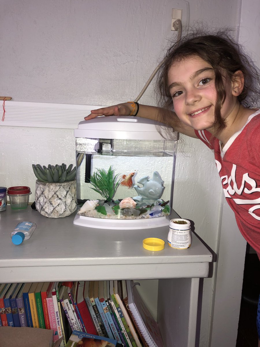 neva: “dora come meet my new fish”
wait what happened to your old one?
“well he committed suicide by jumping into the tampon drawer. but meet happy gilmore”