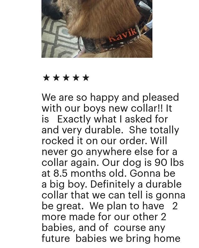 larueoriginal's tweet photo. Wet love customer feedback ❤️👍 Thank you for the Etsy review!! #etsyreview #supportetsy #supportsmallbusiness #customdogwear #camocollar #happycustomer #handmademartingales #shophandmade #larueoriginalfashions #customerappreciation https://t.co/XcwkxyeQfQ https://t.co/qoeDnRjaTQ
