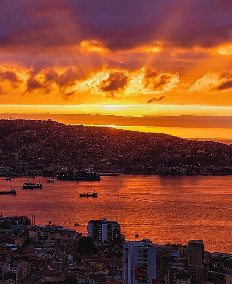 ximvica's tweet photo. Simplemente hermoso #Valparaíso #chile 💚🌎🌅📸 https://t.co/JpOShI63sC
