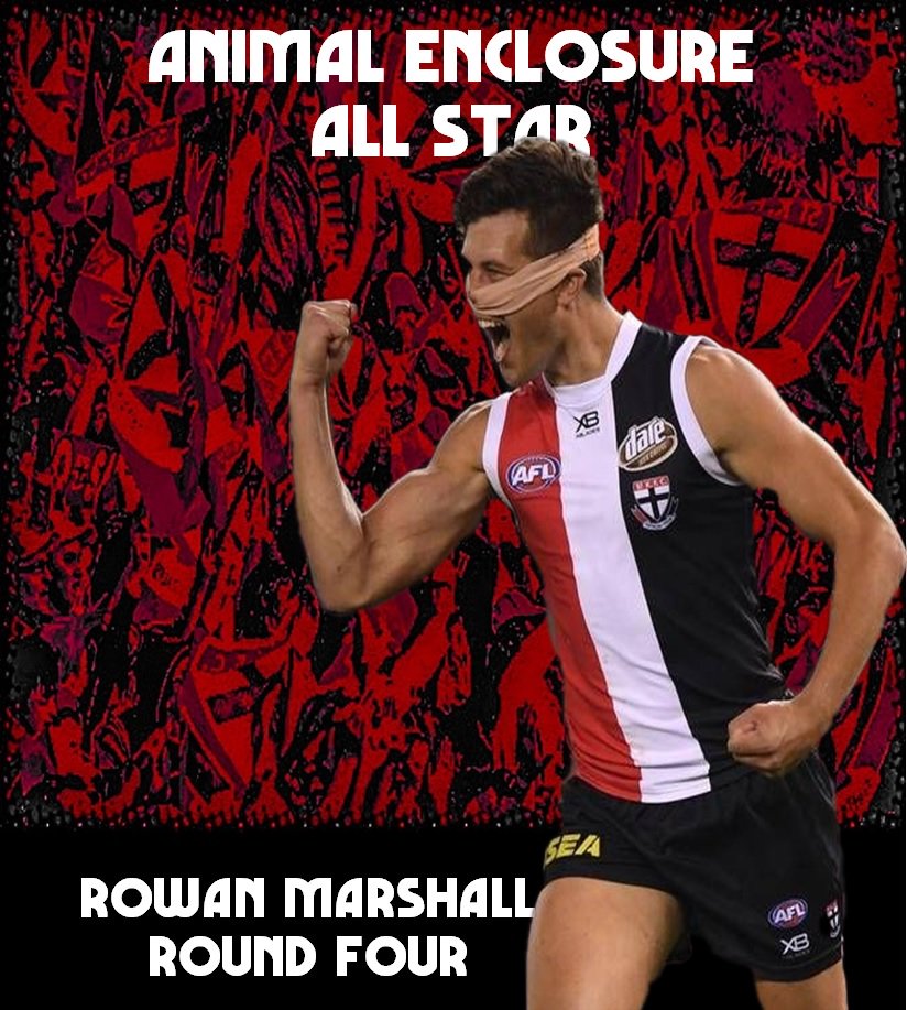 animalenclosure's tweet photo. ANIMAL ENCLOSURE ALL-STAR

The votes are in and your Animal Enclosure All-Star for Round Four is the big man in number 19 - Rowan Marshall.

#WithStKilda #AnimalEnclosureAllStar #AllStar #AnimalEnclosure #RowanMarshall https://t.co/vmBaFkL0uG