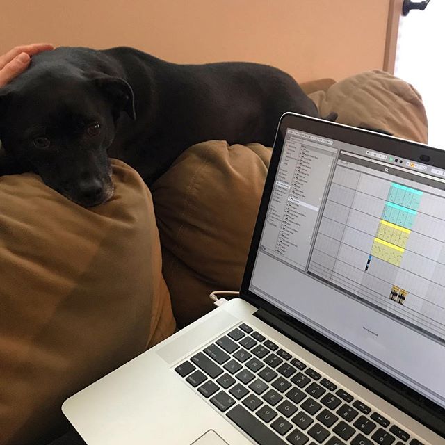 beatmelter's tweet photo. Felt cute 💁♂️ Might delete later
.
.
.
.
#producer #music #work #chill #couch #studio #homestudio #newmusic #macbook #inthebox #ableton #beatmelter #dog #good #helper #doggo #maggie #cute #feltcutemightdeletelater #sheputsupwithme https://t.co/k02MWDn6db