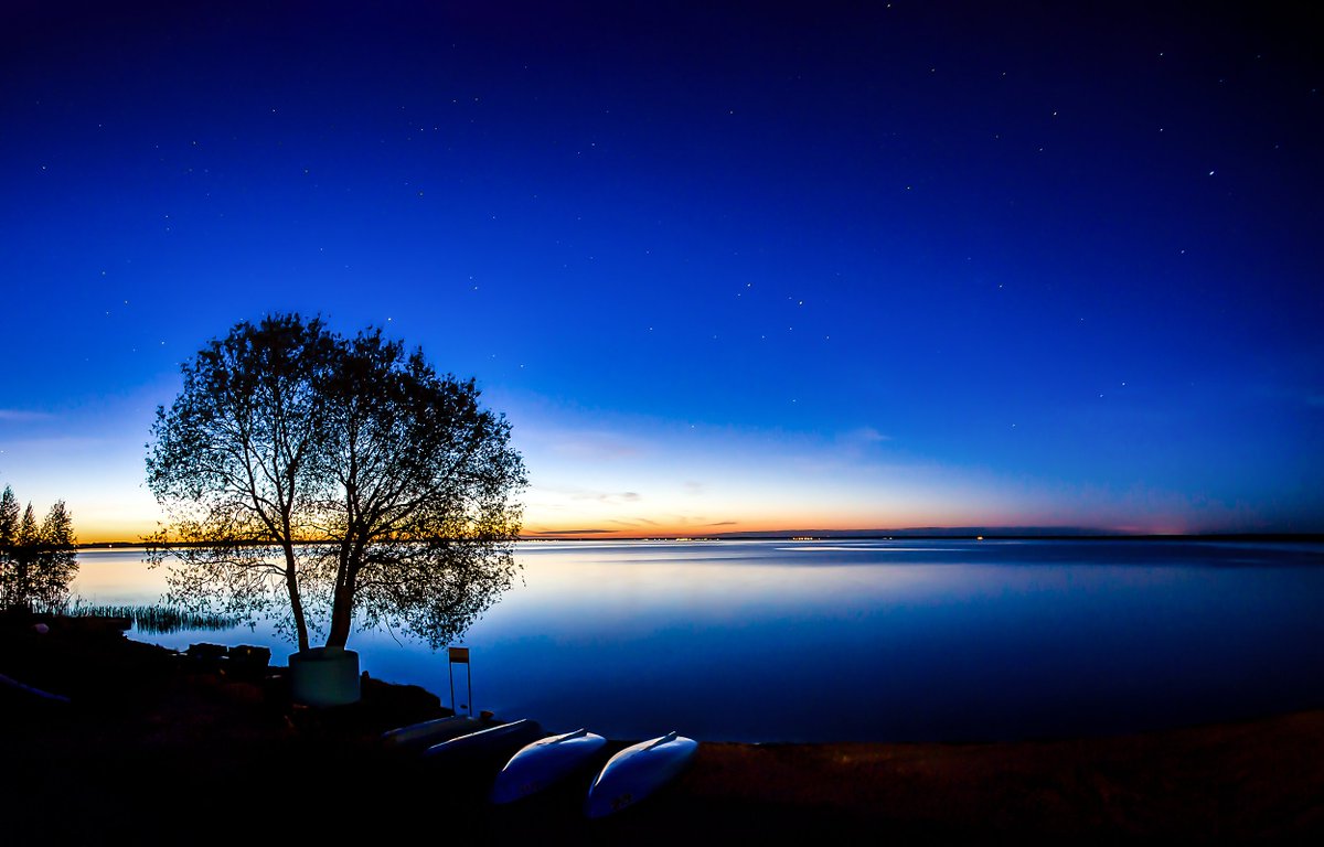 Astrology Zone tweet media