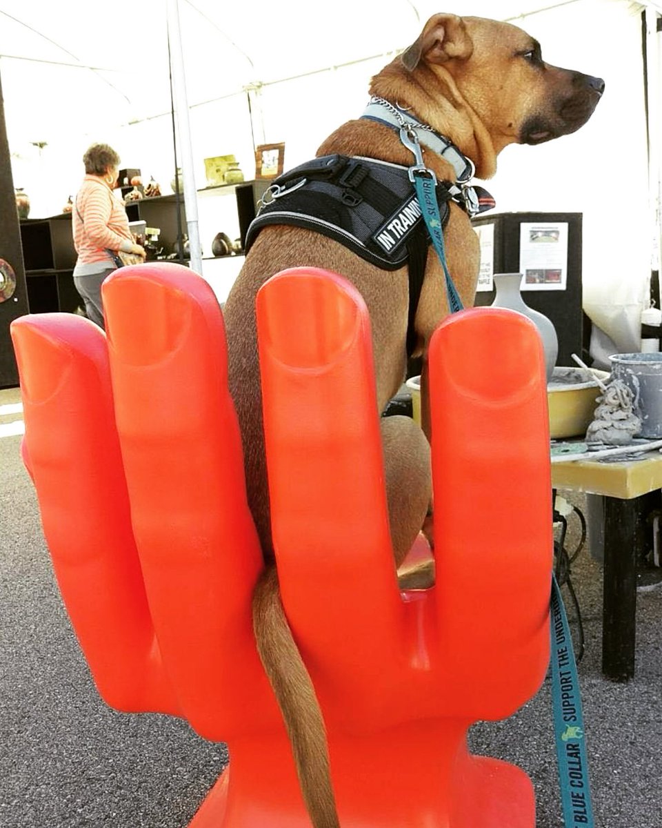 ZoeThePibble's tweet photo. Gimme five ๐
#NationalHighFiveDay
๐
#handchair #dogs #dogsoftwitter https://t.co/Im5aUqgDSs