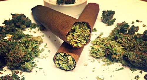 LittleElmComic's tweet photo. We are ready for #fourtwenty and ready for this Kickstarter on 4/20 to go live! Tag someone you would smoke these with! #weed #weedweek #reefer #fatblunts
# https://t.co/URjwRgDJMB