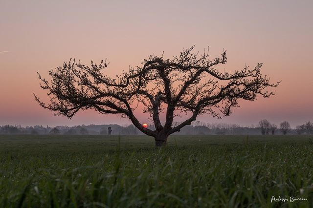 Jett1oeil's tweet photo. En équilibre...
•
#paysdegatine #deuxsevres #nature 5253
•
#igersdeuxsevres #igersfrance #so_photo #kodakmoments #instanaturefrance #photooftheday #still_life_nature #natureonly #happy_life_captures #beautiful_thingsin_life #naturenotrepassion #igrec… https://t.co/kqgK3qxvVm https://t.co/Kzgr8RurUD