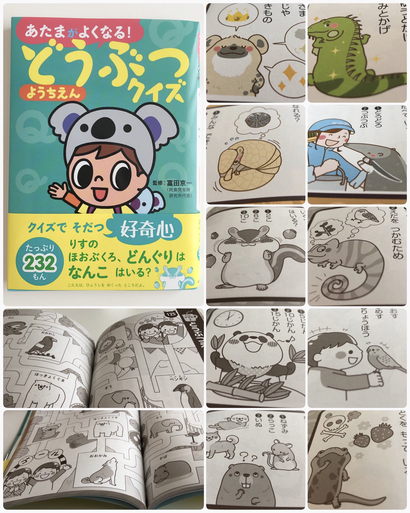 サカモトリエ イラストレーター 株 学研プラス様 あたまがよくなる どうぶつクイズようちえん イラスト制作のお仕事をさせていただきました ハイエナや イグアナ アリクイ アルマジロ リス カメレオン パンダ インコ ビーバーなどなど沢山の