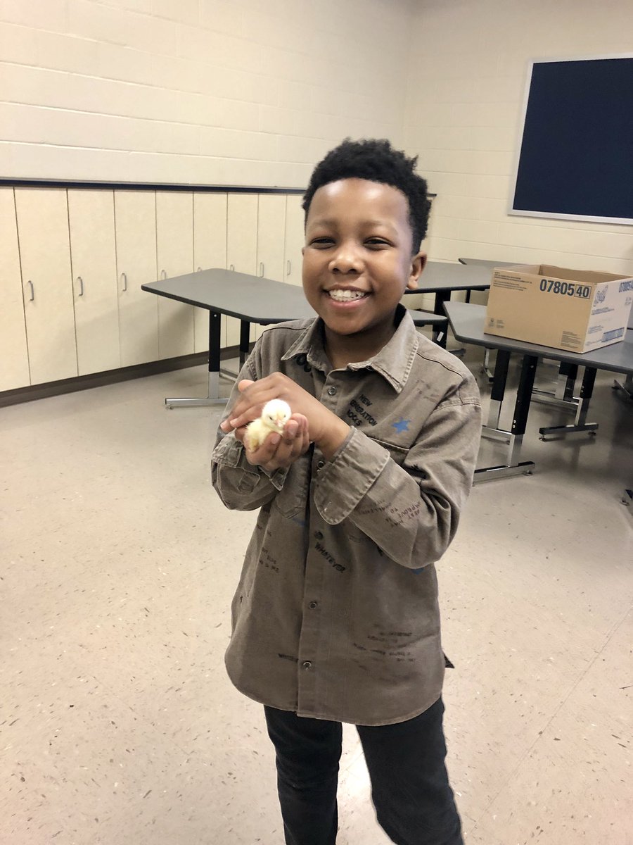jspatrick13's tweet photo. My kiddos made some new furry friends today! #mtfproud https://t.co/M9RKNzLA9S