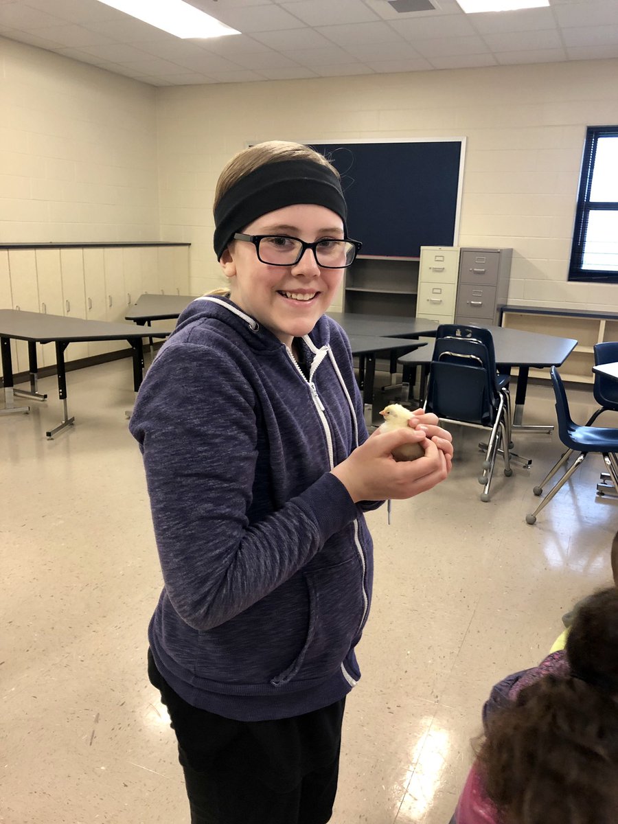 jspatrick13's tweet photo. My kiddos made some new furry friends today! #mtfproud https://t.co/M9RKNzLA9S