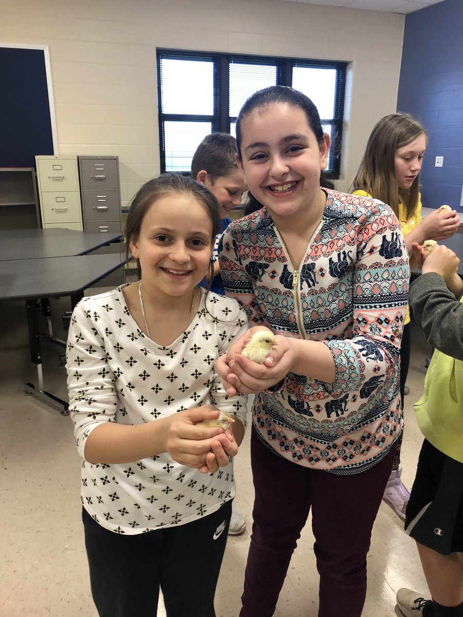 jspatrick13's tweet photo. My kiddos made some new furry friends today! #mtfproud https://t.co/M9RKNzLA9S