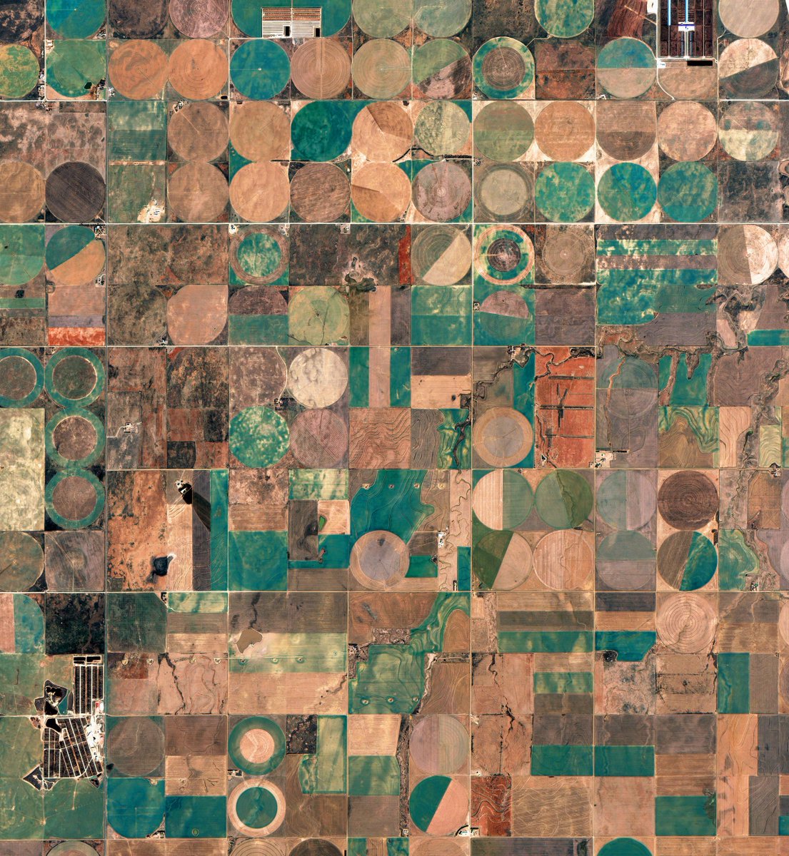 EarthriseAlly's tweet image. If you could see your neighborhood from space what more could you learn? #EarthriseAlliance #viewformspace #localinsight #globalperspective 

Produced by @EarthriseAlly alliance and Source Imagery @UrtheCast