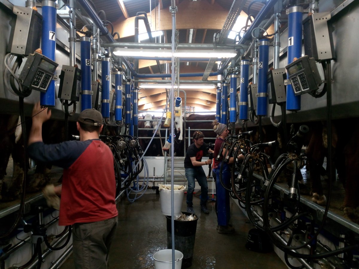 Pierre Picard tweet media