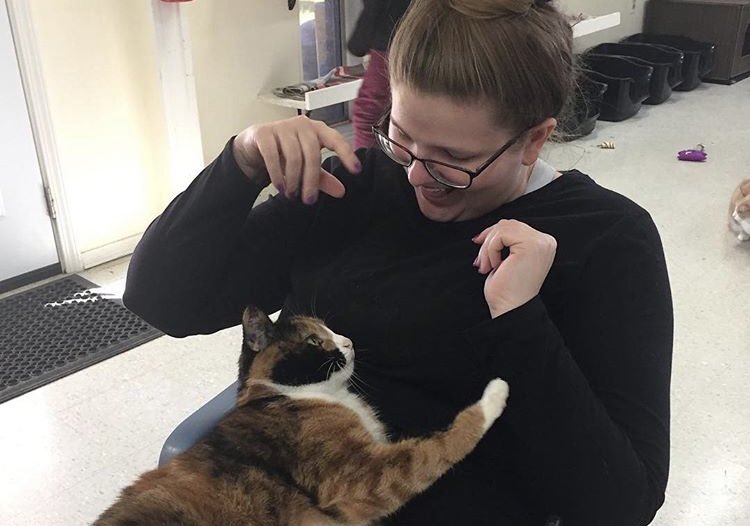CAAWSBR's tweet photo. We need cat room volunteers! Our cats are cared for by volunteers, who do a cleaning &amp; care shift every morning &amp; evening. It takes about an hour &amp; is a weekly commitment. For more info, visit our website! #adopt #foster #adoptdontshop #rescue #rescuecat #cat #kitty #ilovecats https://t.co/xUDYgpNxbu