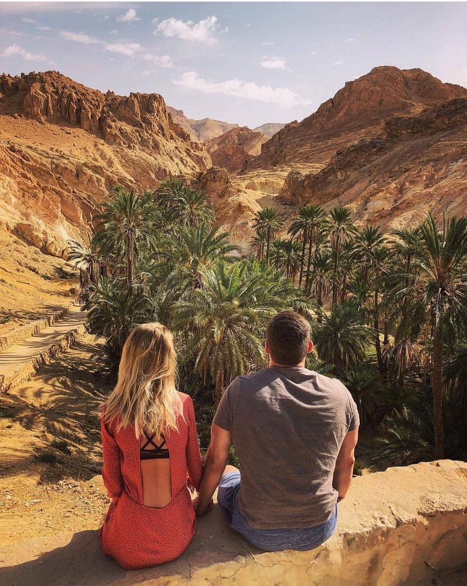 AndTunisia's tweet photo. The oasis of Tozeur, Southern Tunisia. https://t.co/IXxrin8ui7