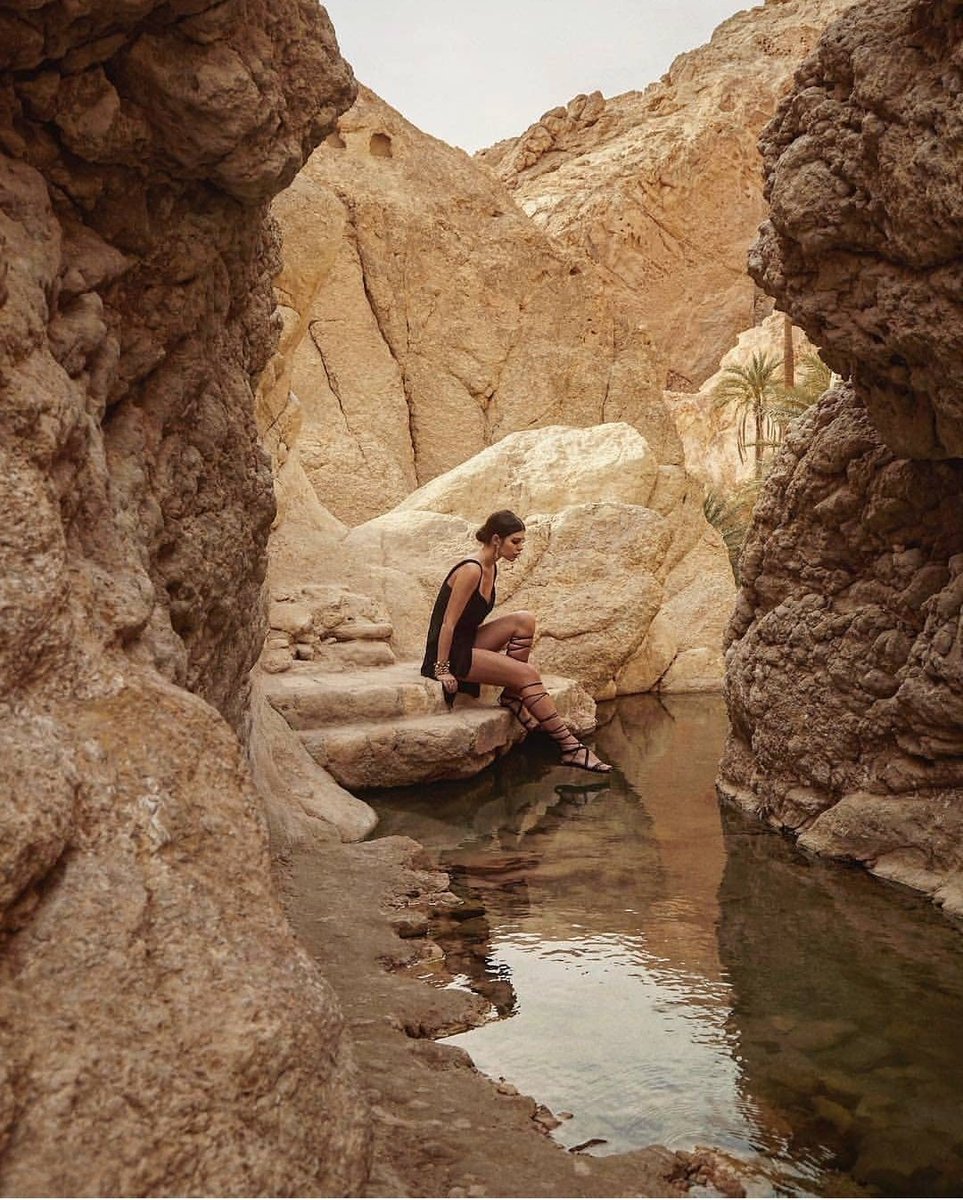 AndTunisia's tweet photo. The oasis of Tozeur, Southern Tunisia. https://t.co/IXxrin8ui7