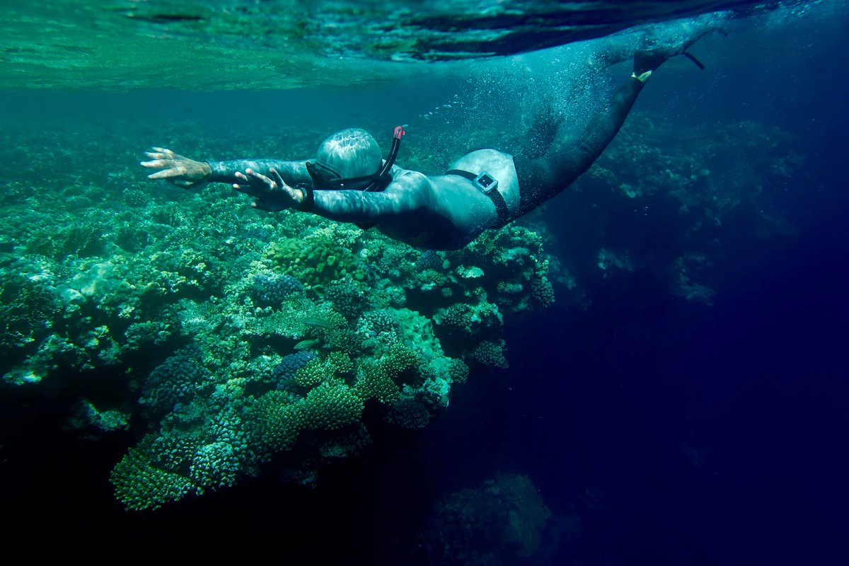 VidaBuceo's tweet photo. Thanks to Red Sea Marine Conservation, Egypt is a Top Diving Destination https://t.co/Uy7VGNjgSY https://t.co/vnioAvVLG9