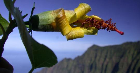 BenjaminJCrain's tweet image. Great find!
nationalgeographic.com/environment/20…