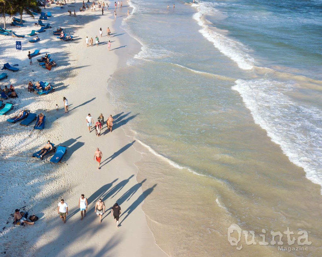 Quinta Magazine tweet media