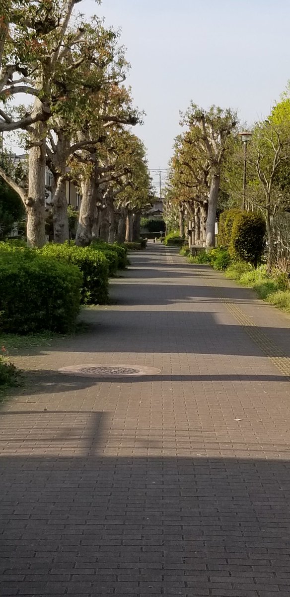 最速先行予約 最速先行予約