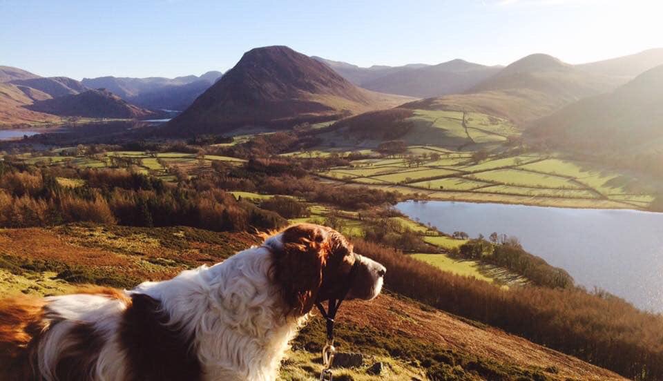 Tim_C_Ingram's tweet photo. Sharing memories off #Loweswater and #Melbreak from a few years ago #lakedistrict #timeless https://t.co/Wn4jeQQpKt