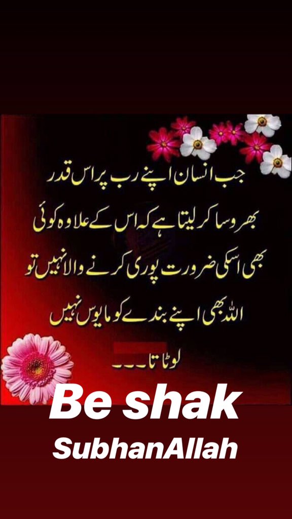 saherWarsi7's tweet photo. Ameen π€²π»ππ» #islam #peace #love #Muslim #muslimah #salah #fasting #Quran #hajj #zakat #iman #jannah #prayers #sunna #dua #subhanallah #allhumdullilah #allahuakbar #noble #day #of #tesurrection #deen #dunya #akhira #hadith https://t.co/qHJMG4v6E7