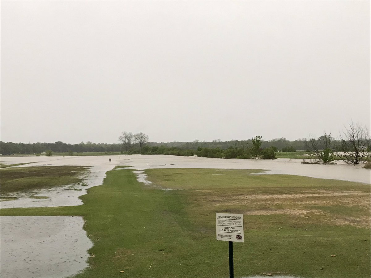 James D. McCurdy tweet media