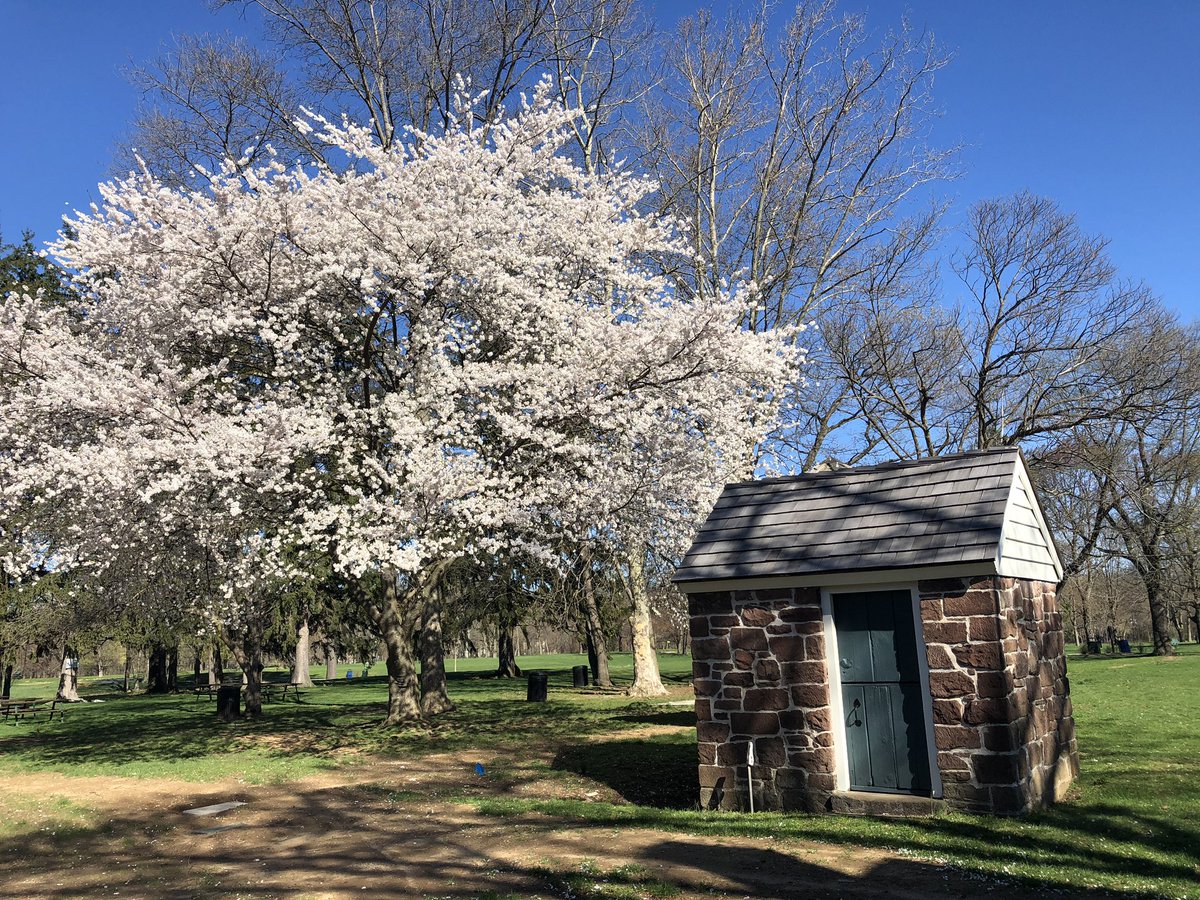 dey_mansion's tweet photo. Spring is here!!! Plans for the long weekend? Come visit Dey Mansion Washington’s Headquarters! Saturday and Sunday, we are having an open house from 10:00am thru 5:00pm, last entrance is at 4:30pm. #joinordey #deymansion #washingtonwashere #njhistory #thisplacematters https://t.co/dv6axFZX9f