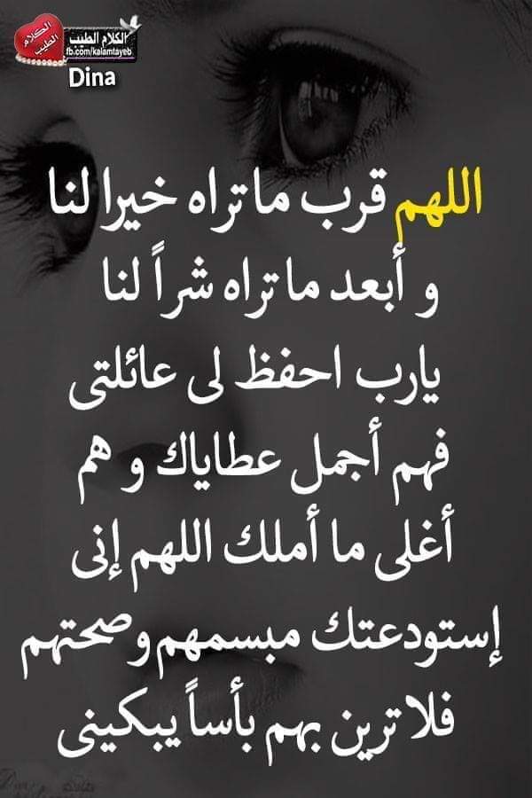 ديوث زوجتي صنعاء (@zczhzadjexvl1py) on Twitter photo 