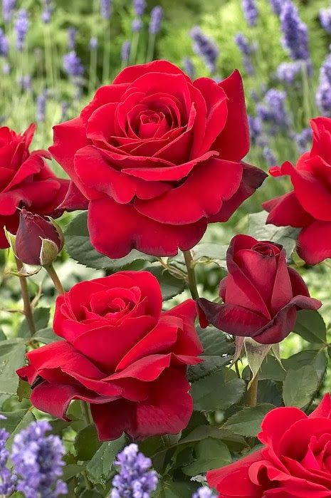 Debora153649's tweet photo. https://t.co/puvqubwdgm