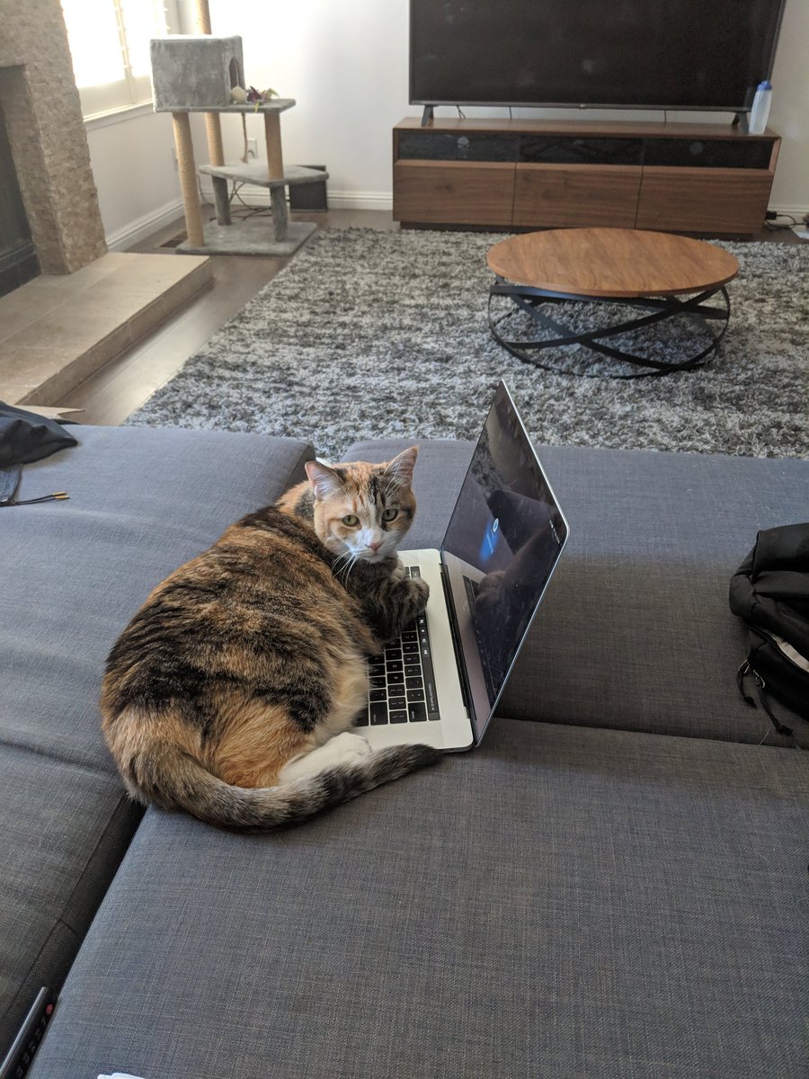 vsampat9's tweet photo. So tired of having the same fight with her every time I wfh https://t.co/TIgEearxOW
